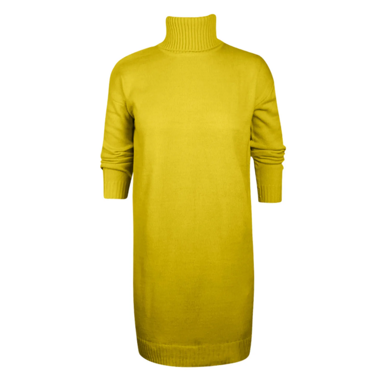 Hanne | Kvinnors Vinter Turtleneck Klänning